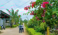 Nông thôn mới Đắk Nông, ở huyện này dân đang giàu lên nhờ trồng các 'cây tiền tỷ', làng xóm trù phú