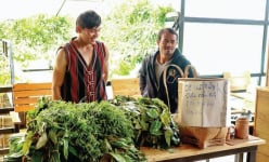 Rau rừng Tây Nguyên có loại đọc tên hơi 'đau mồm', dân Lâm Đồng hái về bán đắt như tôm tươi