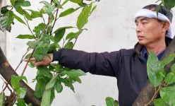 Vụ nam thanh niên trúng đạn tử vong tại nhà: Những vết nghi đạn bắn tại hiện trường