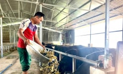 Một huyện của Đắk Lắk là điển hình nổi bật về giảm nghèo đa chiều, và đây là cách làm hay
