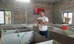 Con đặc sản này chuyên ăn tre, cỏ mà ra loại thịt thơm ngon, nuôi thành công ở Quảng Trị, bán hút hàng