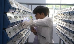 Một nơi ở TP HCM nuôi con đặc sản trong hộp nhựa, 'trồng rau cực phẩm' trong ống, người ta đang đến xem