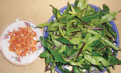 Đặc sản Bình Thuận, con động vật tươi rói đem nấu canh rau rừng ăn ngon hơn thịt cá 'mâm cao cỗ đầy'