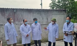 Hải Phòng: Hỗ trợ vaccine phòng cúm gia cầm, dịch tả lợn châu Phi từ nguồn ngân sách năm 2025