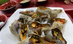 Đặc sản Khánh Hòa, loại ốc nằm dưới 2-3m nước biển, bắt lên nướng thơm khắp làng, thịt ngọt, ăn giòn