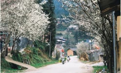 Đến Hà Giang trong những ngày Xuân, du khách sẽ được ngắm nhìn, trải nghiệm những cực phẩm này