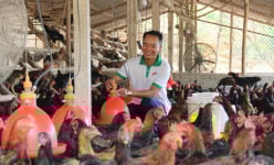 Tỷ phú Bắc Giang là một ông nông dân nuôi gà đặc sản, doanh thu 8,7 tỷ, lãi ròng 2,4 tỷ/năm