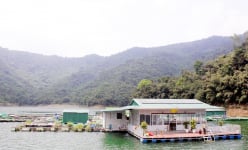 'Thuỷ quái” nuôi trên sông Đà ở Hòa Bình, sức hút từ con cá trắm đen, cá tầm to như cột nhà