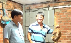 Từ 5 cặp dúi nhân lên thành 800 con, anh Lạc ở Bình Phước thu 400 triệu/năm
