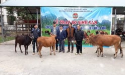 Đây là loài vật nuôi giúp nông dân một huyện ở Cao Bằng có của ăn của để