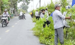 Một xã ở Tiền Giang có tuyến đường hoa nông thôn mới đẹp tinh tươm, dân tha hồ chụp hình, quay phim