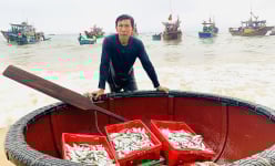 Đây là 3 loại cá biển ngon giúp dân một xã ở Quảng Bình bỏ túi tiền triệu/ngày sau khi ra biển trở về
