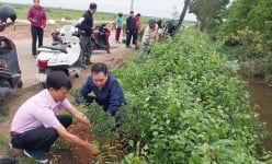 Hội Nông dân một huyện ở TP.Huế tặng mô hình tuyến đường hoa cho 3 xã 