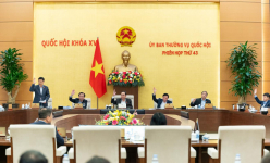 Doanh nghiệp và hộ kinh doanh được giảm 30% tiền thuê đất phải nộp năm 2024