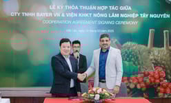 Bayer đẩy mạnh giúp đỡ nông dân Tây Nguyên chuyển đổi canh tác bền vững