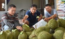 Bộ trưởng Đỗ Đức Duy: Giao kiểm dịch thực vật cho địa phương, 'mã số vùng trồng phải như mã định danh trên thẻ CCCD'