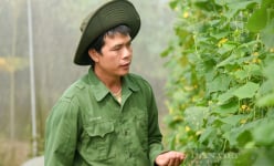 57 trong nông nghiệp: Tâm sự của các nhà khoa học khi làm nông dân, tránh 'vẽ voi trên giấy' (Bài 8)