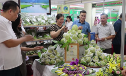 Một huyện của Lạng Sơn đã hình thành chuỗi liên kết sản xuất từ các loại nông sản, đặc sản nổi tiếng