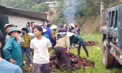 Hỏng quạt thông gió, gần 8.000 con gà chết ngạt, một nông dân Hà Tĩnh mất gần tỷ đồng