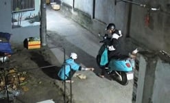 Nạn trộm chó, mèo hoành hành ở Hóc Môn, Bình Chánh