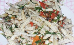 Đặc sản ở nơi này của Huế là một con vật hoang dã chưa kịp 'chuyển kiếp', ăn được là vạn người mê