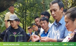 Nhịp sống nông thôn mới ngày 17/03/2025