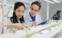 Đột phá KHCN từ Nghị quyết 57: Áp dụng cơ chế 'đặt hàng', tránh tình trạng 'trên rải thảm, dưới rải đinh' (Bài cuối)