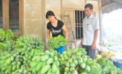 Sau 2 lần sáp nhập, tách ra, tỉnh Tuyên Quang thay đổi tên như thế nào, thu nhập của người dân đạt bao nhiêu?