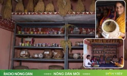 Có một ngân hàng dành riêng cho nông dân nhưng không cho vay tiền