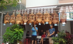 Loài chim cảnh này hót hay còn 'quát to', ở Đắk Lắk con bé tí giá 3 triệu mà cái lồng chim giá 8 triệu