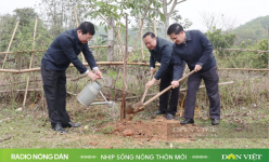 Nhịp sống nông thôn mới ngày 03/03/2025