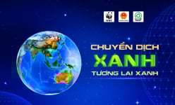 EVNHANOI phát động hưởng ứng 'Giờ Trái Đất' góp phần bảo vệ môi trường