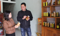 Nuôi ong chăm chỉ làm ra mật ong ngũ gia bì, một nông dân Lạng Sơn có thu nhập tốt hơn hẳn