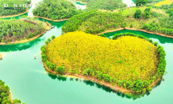 Rực rỡ đảo hoa Phong Linh trên hồ Thác Bà