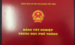Dùng bằng giả, một Phó Bí thư Đảng ủy xã ở Quảng Trị bị cách chức tất cả chức vụ Đảng