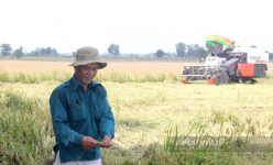 Người dân thế chấp đất nông nghiệp để vay vốn ngân hàng được không?