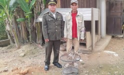 Một con động vật hoang dã to dài bò lạc vào nhà, ông nông dân Huế bắt được nộp kiểm lâm