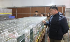 Áp dụng khoa học công nghệ, nông dân Lạng Sơn tăng nhanh thu nhập