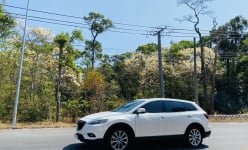Xuyên qua một khu rừng lớn ở Bà Rịa-Vũng Tàu, dân tình xốn xang vì một loài cây đang thay lá trắng toát