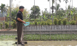 Loại con đặc sản nuôi thành công ở một xã của Hải Dương, nông dân nói vốn đầu tư vay từ đâu?