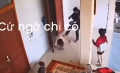 Công an vào cuộc vụ clip chồng đánh đập tàn nhẫn vợ và con bên mâm cơm ở Nghệ An