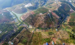 Vụ Chủ tịch xã ở Đắk Nông 'không biết' trang trại hơn 22ha ngay gần nhà: Lãnh đạo tỉnh chỉ đạo 'nóng'