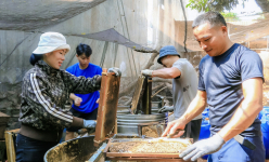Con vật 'ăn ít làm nhiều ngày', nuôi thành công ở Đắk Lắk, chả tốn thức ăn, cuối mùa cầm cục tiền