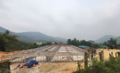Xử lý công trình xây dựng trái phép trên đất nông nghiệp