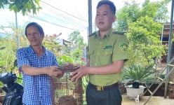 Một con động vật hoang dã bò vào nhà, ông nông dân Lâm Đồng tình cờ bắt được, đem nộp kiểm lâm