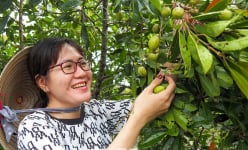 Đặc sản Cà Mau, loài cây dại ra quả dại ngờ đâu lại làm món quà vặt bén miệng