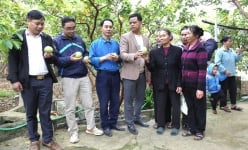 Ninh Bình: Gần 80 nông dân được hướng dẫn sử dụng phân bón hữu cơ vi sinh trên cây trồng