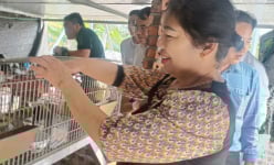 Hội Nông dân Hải Phòng tổng kết Dự án nông dân xử lý rác thải, góp phần giảm phát thải nhà kính