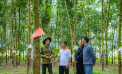 Tỷ phú ở Quảng Nam, Kon Tum dành hàng chục tỷ đồng giúp hộ nghèo, 873.581 hộ nghèo được nông dân giỏi hỗ trợ 
