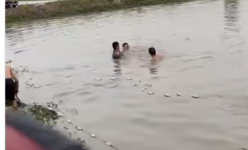 Hai học sinh tiểu học ở Hải Phòng bị đuối nước thương tâm